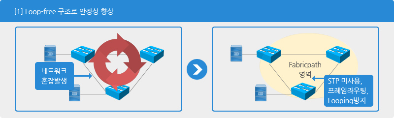 [1] Loop-free 구조로 안정성 향상