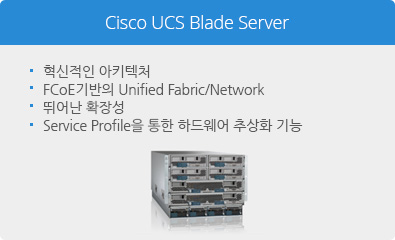 Cisco UCS Blade Server